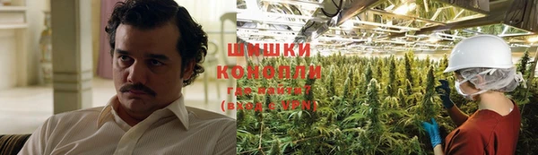 spice Козельск