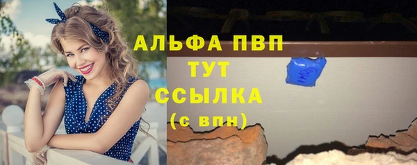 spice Козельск