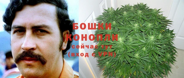 spice Козельск