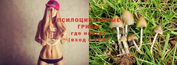 spice Козельск