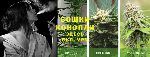 spice Козельск