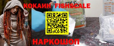 амф Сланцы