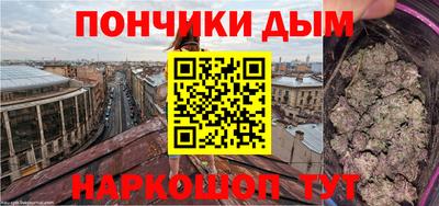 амф Сланцы